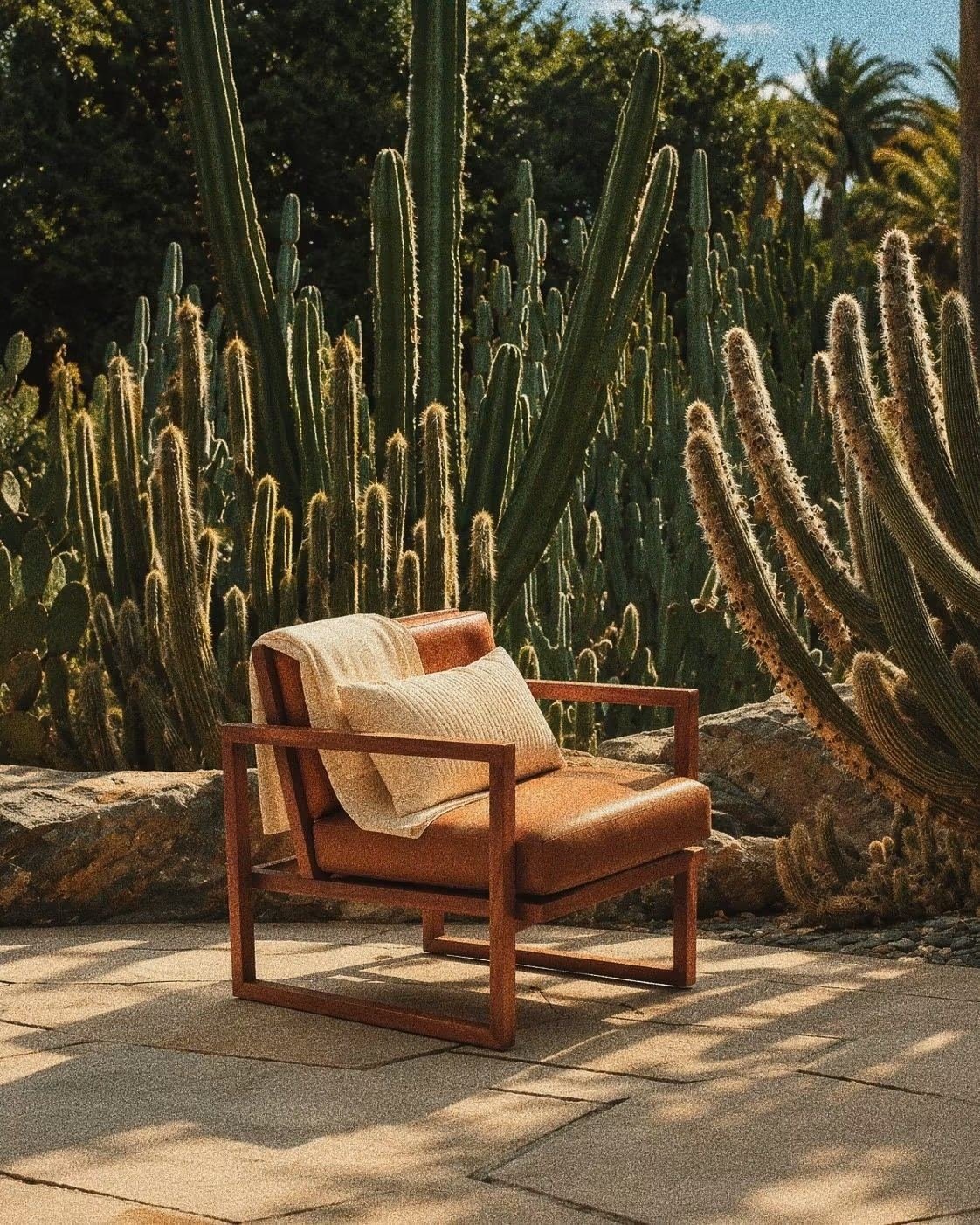 Sillón de piel diseñado por Dacia Interior Design entre cactus en Los Cabos